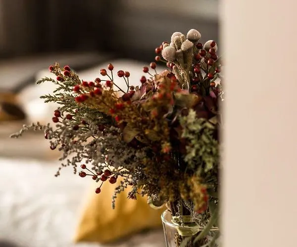 Centre Κατοβίτσε